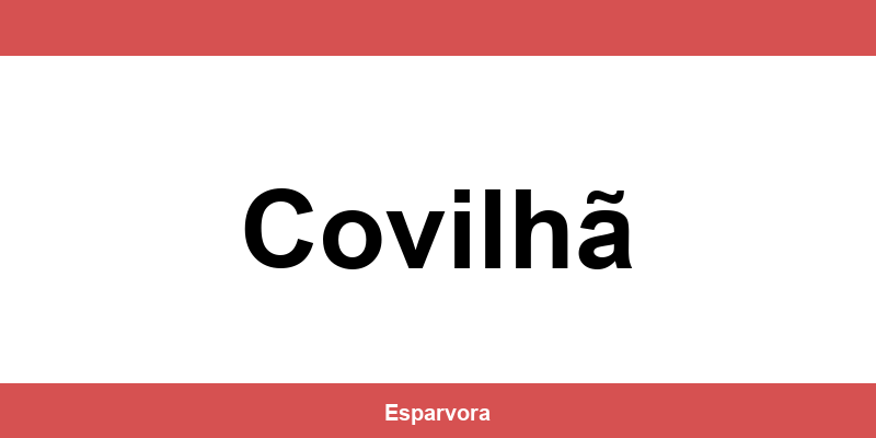 Contato lojas Espaço Casa em Covilhã