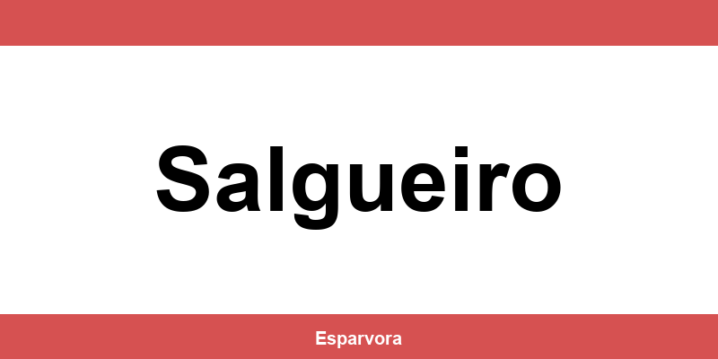 Contato lojas Espaço Casa em Salgueiro